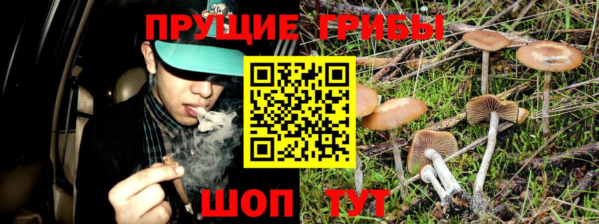 Галлюциногенные грибы MAGIC MUSHROOMS  наркотики  Арсеньев  Вход с VPN 